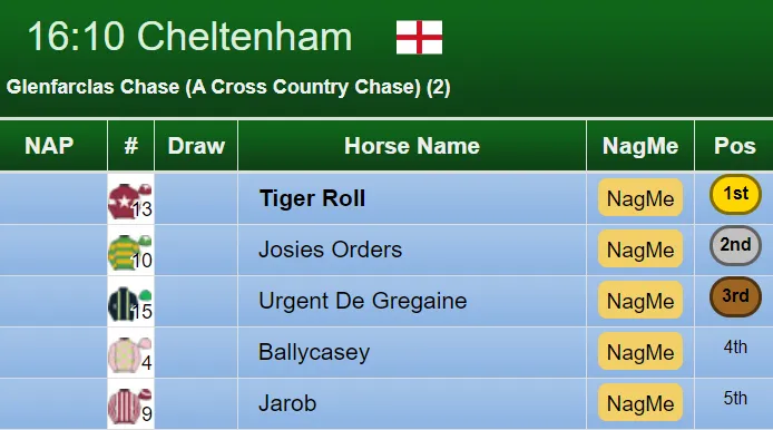 Cross Country Chase 2019 Result