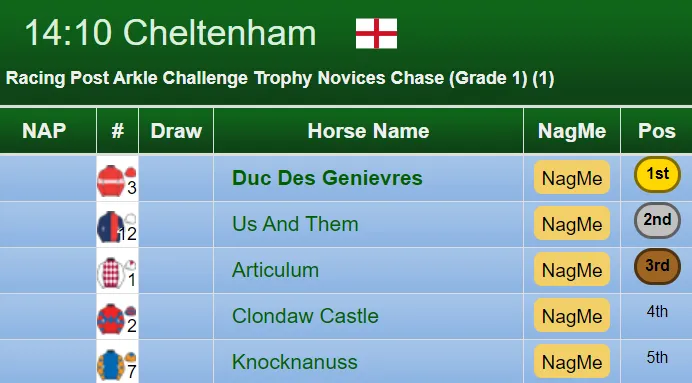 Arkle Result 2019