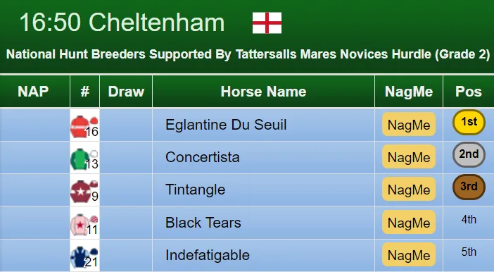 Mares Novices Hurdle Result 2019