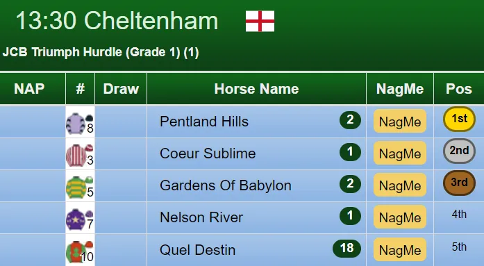 Triumph Hurdle Result 2019