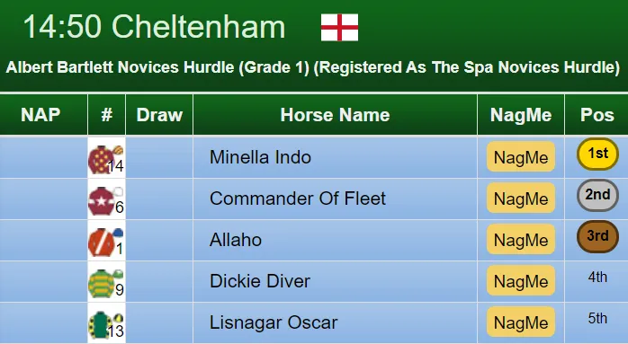 Albert Bartlett Novices Hurdle Result 2019