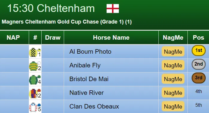 Cheltenham Gold Cup Result 2019