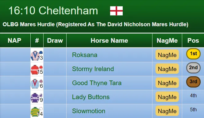 Mares Hurdle Result 2019
