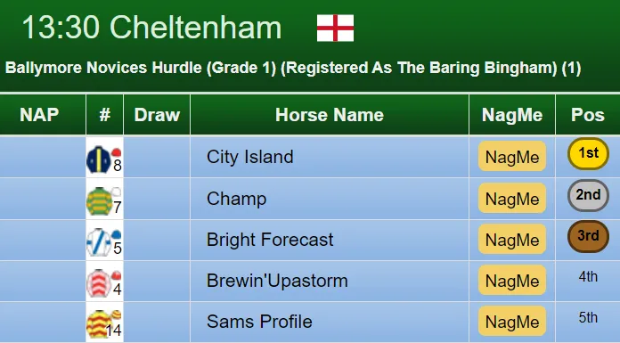 Ballymore Hurdle Result 2019