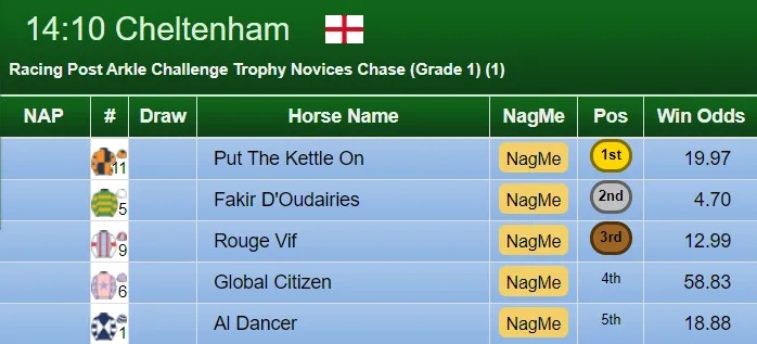 Arkle Result 2020
