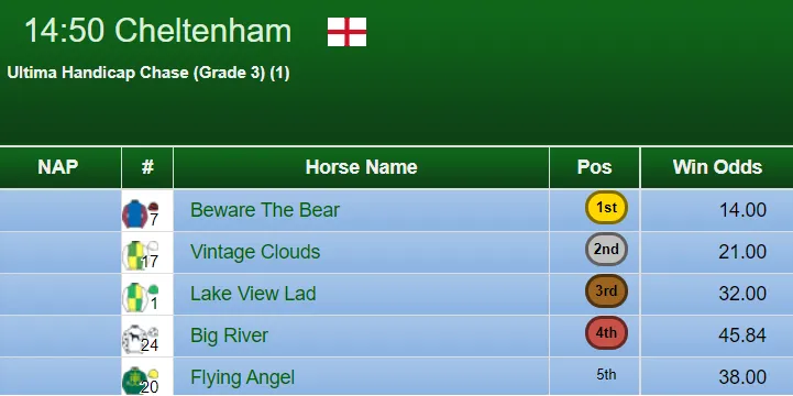 Ultima Handicap Chase 2019 Result