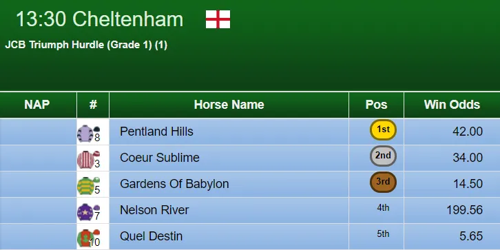 Triumph Hurdle Result 2019