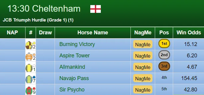 Triumph Hurdle Result 2020