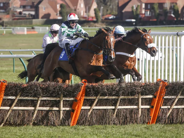 two taffs horse