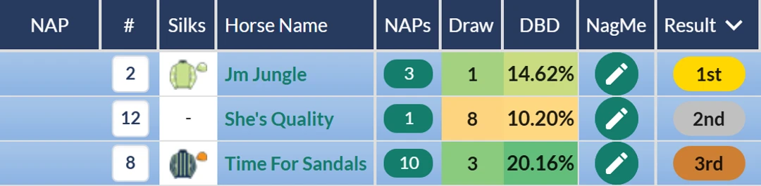 RatingTheRaces result grid: Jm Jungle wins the 2025 King George Stakes from She's Quality and Time For Sandals