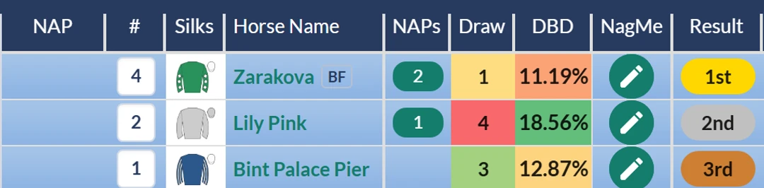 RatingTheRaces result grid: Zarakova beats Lily Pink in a Newmarket maiden fillies stakes