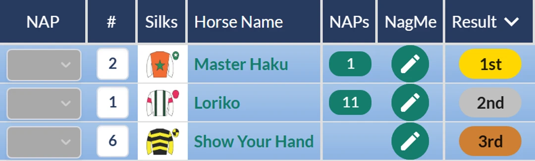 RatingTheRaces result grid: Master Haku beats Loriko and Show Your Hand in the Market Rasen novices' hurdle