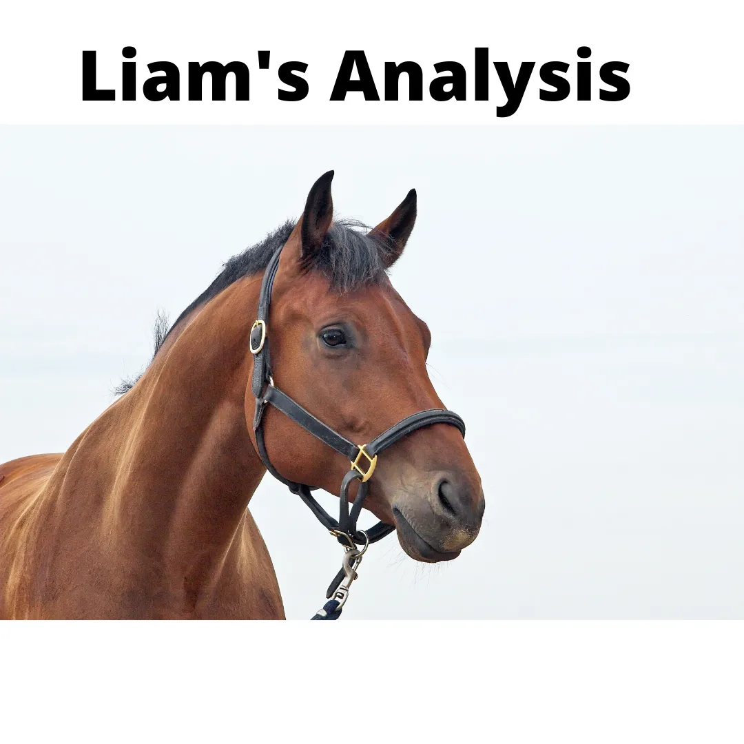 Liam’s Weekly Thoughts up to 2nd November 2021