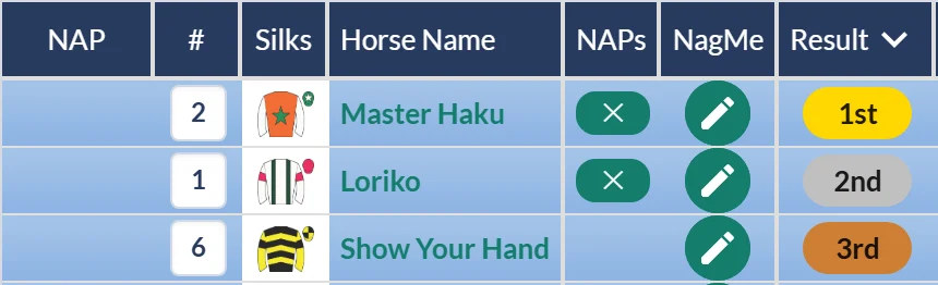 Market Rasen novices' hurdle result grid on RatingTheRaces: Master Haku beats Loriko with the pair clear