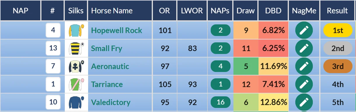 Summer Handicap result grid on RatingTheRaces: Hopewell Rock wins from Small Fry, Aeronautic, Tarriance and Valedictory