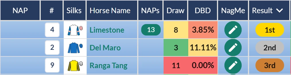 Queen's Vase result on RatingTheRaces: Del Maro second behind Limestone