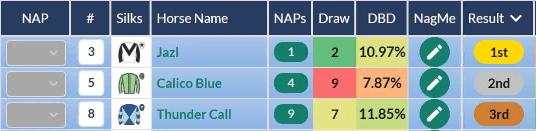 Betway Handicap result on RatingTheRaces: Jazl wins from Calico Blue