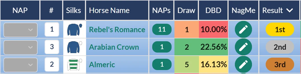 Princess of Wales's Stakes result on RatingTheRaces: Rebel's Romance beats Arabian Crown