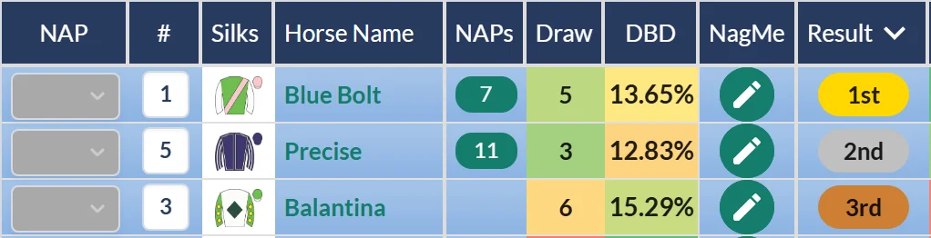 Falmouth Stakes result on RatingTheRaces: Blue Bolt beats Precise