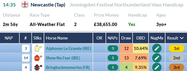 Northumberland Vase result on RatingTheRaces: Alphonse Le Grande wins from Show No Fear and Bringbackmemories