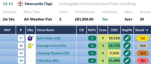 Northumberland Plate result on RatingTheRaces: Charging Thunder third behind Spirit Mixer and Dancing In Paris