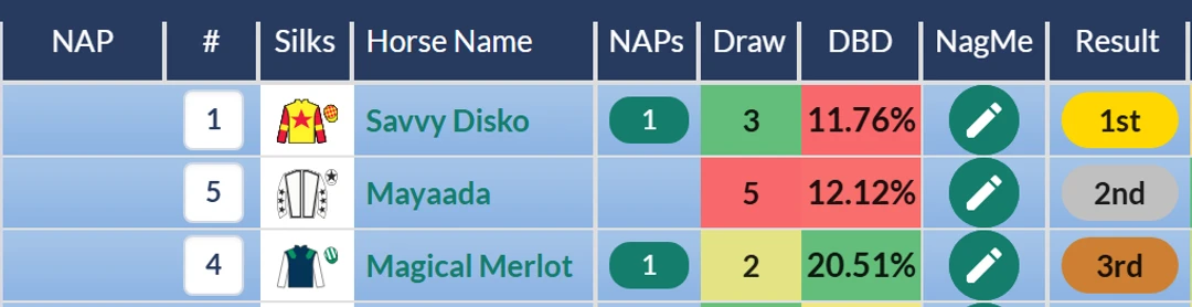 RatingTheRaces result grid: Savvy Disko wins at Lingfield