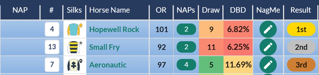 RatingTheRaces result grid: Hopewell Rock beats Small Fry and Aeronautic in the Summer Handicap at Goodwood