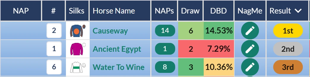 King Edward VII Stakes top three on RatingTheRaces: Causeway first, Ancient Egypt second, Water To Wine third