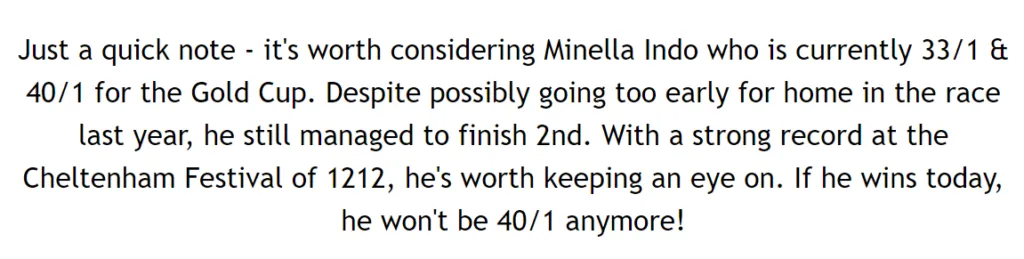 Minella Indo Forgotten Horse