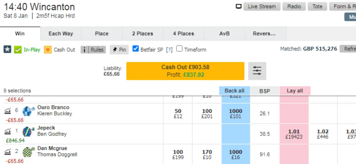 The geniuses use RatingTheRaces Ratings, image 1 of 3