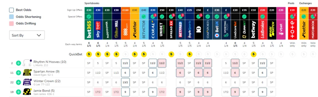 York Analysis – May 2023: York 17:15 Spartan Arrow @ 6/1