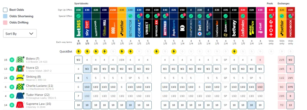 York Analysis – May 2023: Leopardstown 7:30 Tudor Manor @ 13/2