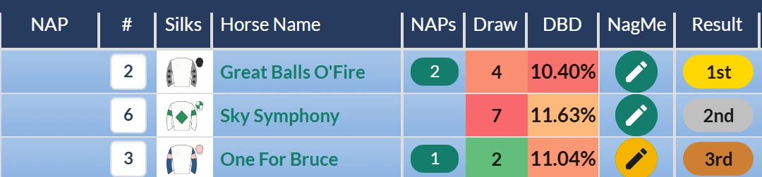 RatingTheRaces result grid: Great Balls O Fire wins the Newmarket novice with One For Bruce third