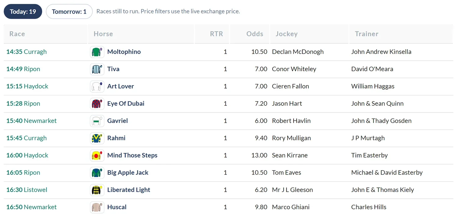 The qualifiers table listing today's 19 matching runners with race, horse, RTR rank, odds, jockey and trainer